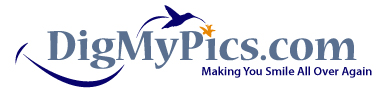 digmypicslogo